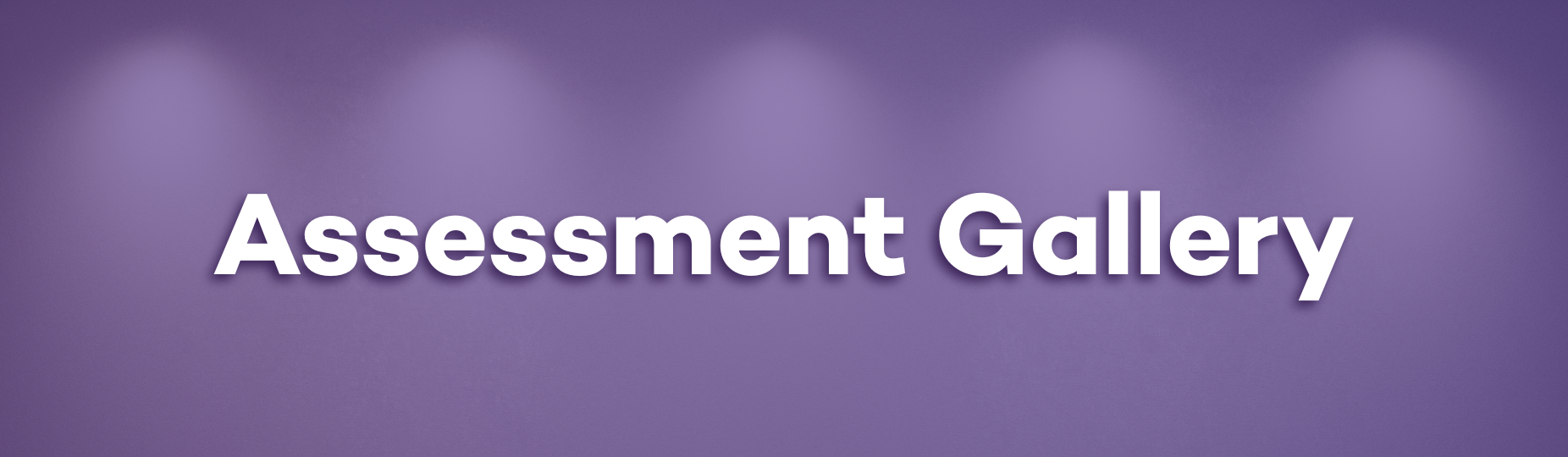 Assessment Gallery