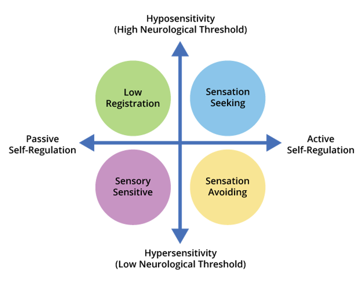 Dunn's Four Quadrant Model of Sensory Processing.