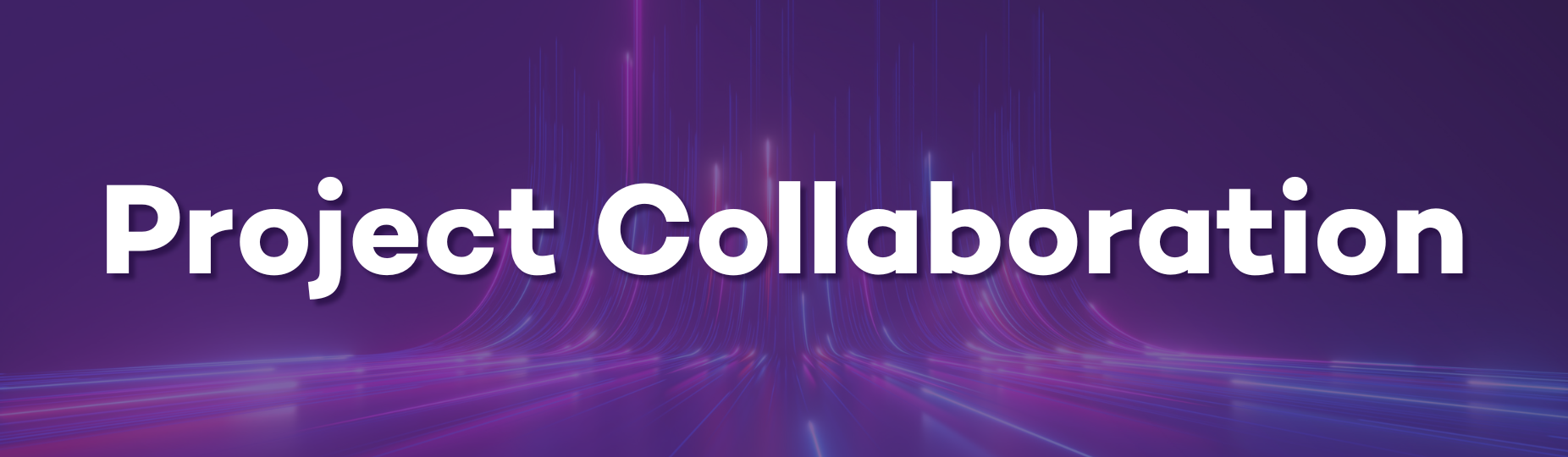 Project Collaboration